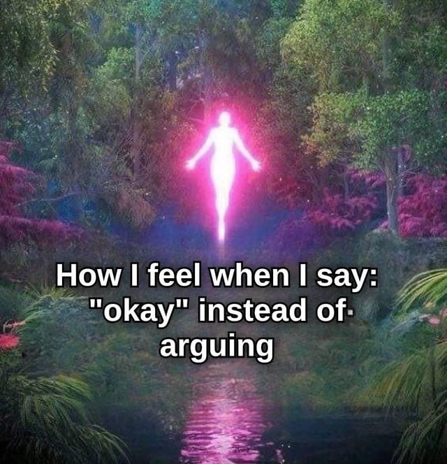 arguing is often a time waste - meme