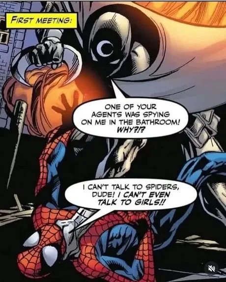 Peter Parker is like us - meme