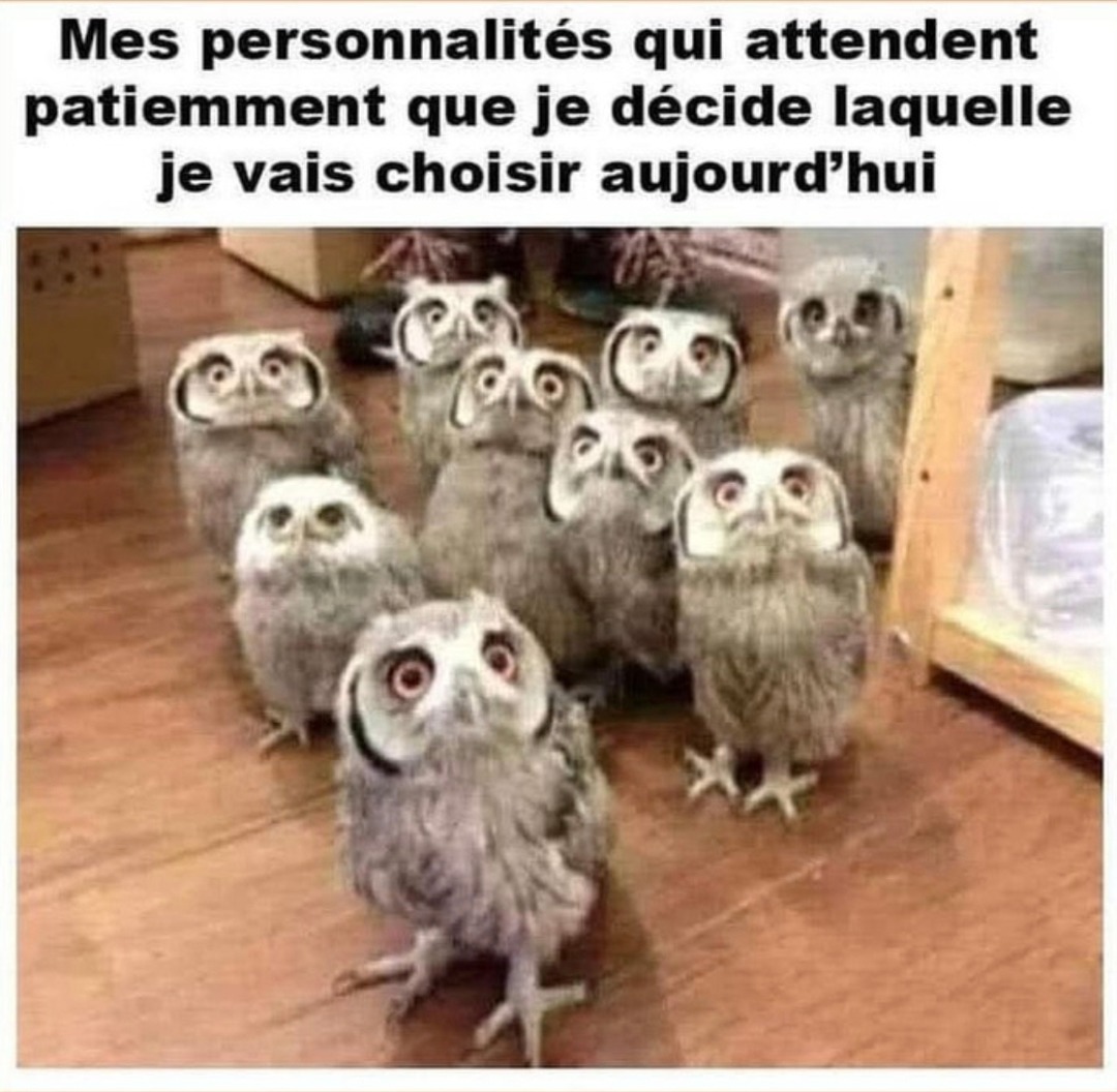 Mes personnalités se battent pour savoir qui va dominer aujourd’hui - meme