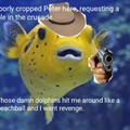 Poorly-cropped-Peter-the pufferfish
