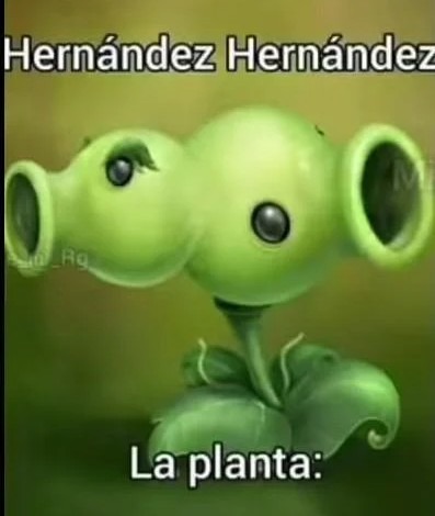 Hernández Hernández - meme