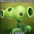 Hernández Hernández