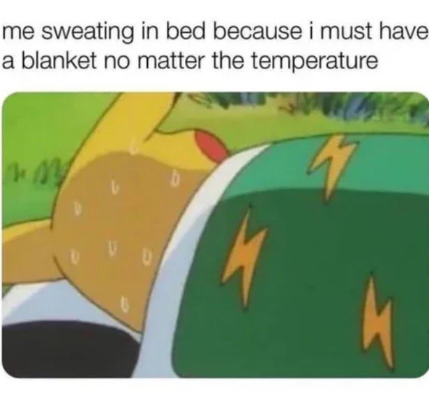 I must have a blanket no matter the temperature - meme