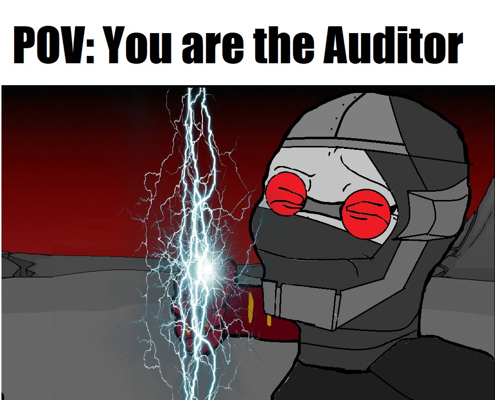 pov you are the auditor - meme
