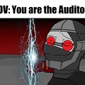 pov you are the auditor