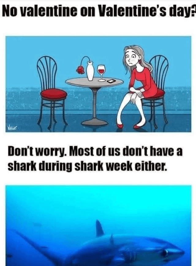 I need to know when it's Shark week - meme
