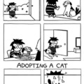 Adopting a dog vs a cat