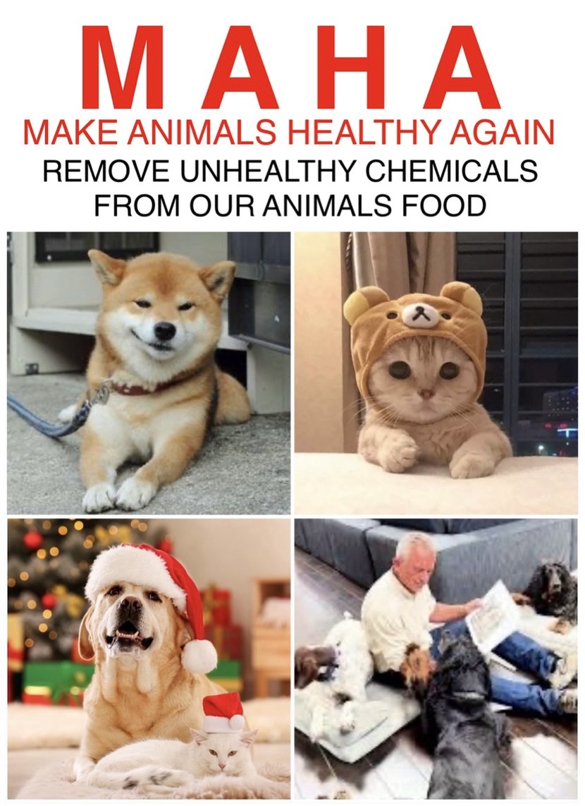 I know it’s corny, but I like animals better than people - meme