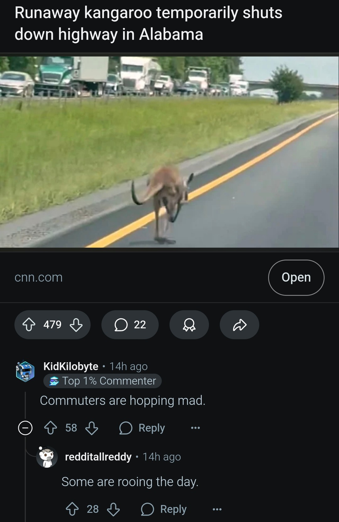 Runaway kangaroo brought Alabama traffic to a full hop - meme