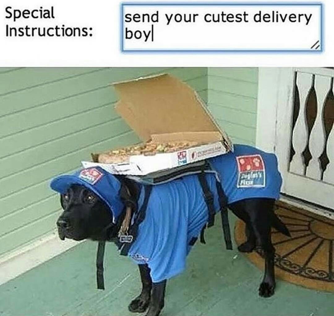 Some pizza doggos are just lit... - meme