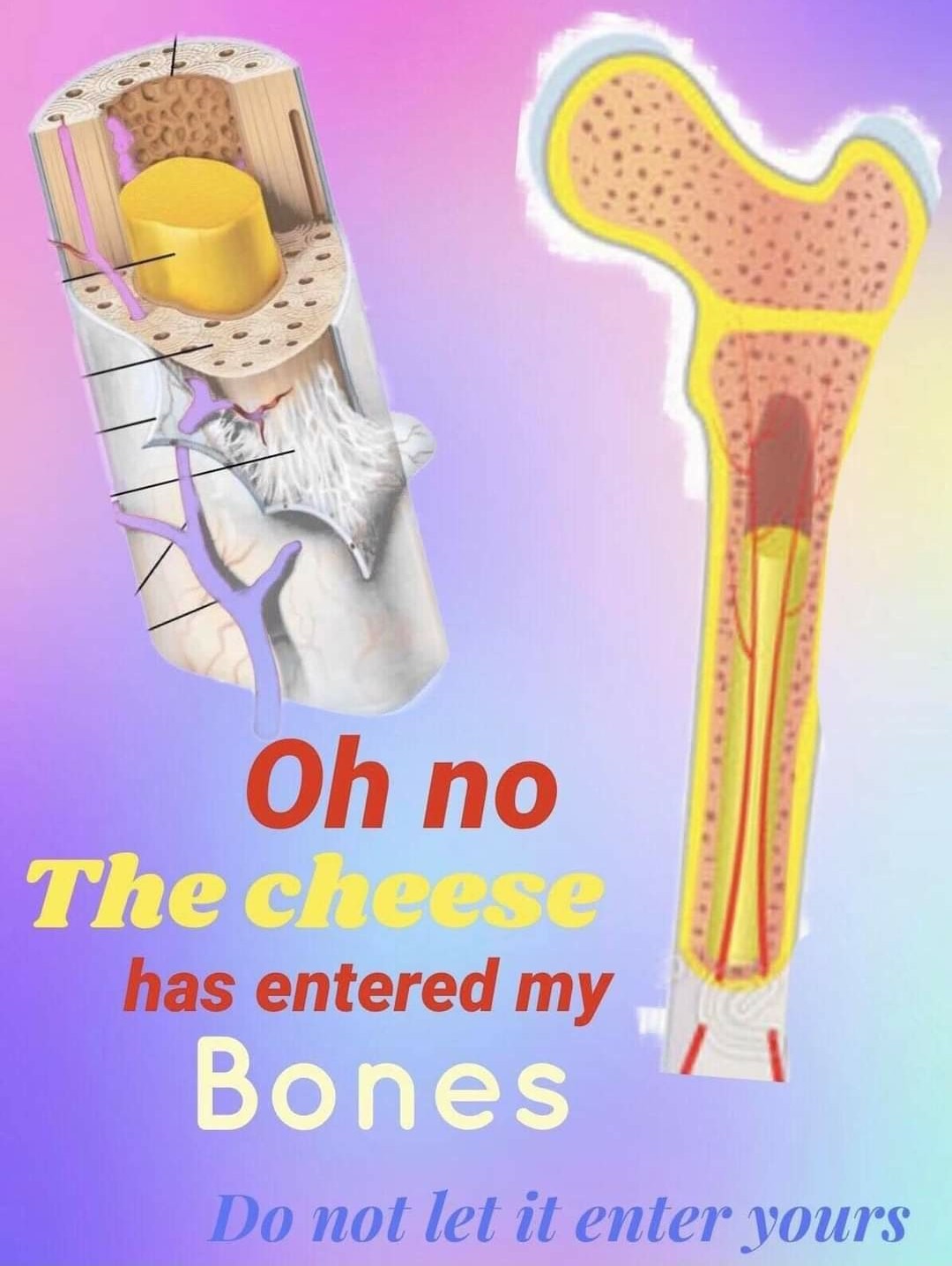 No cheese! - meme