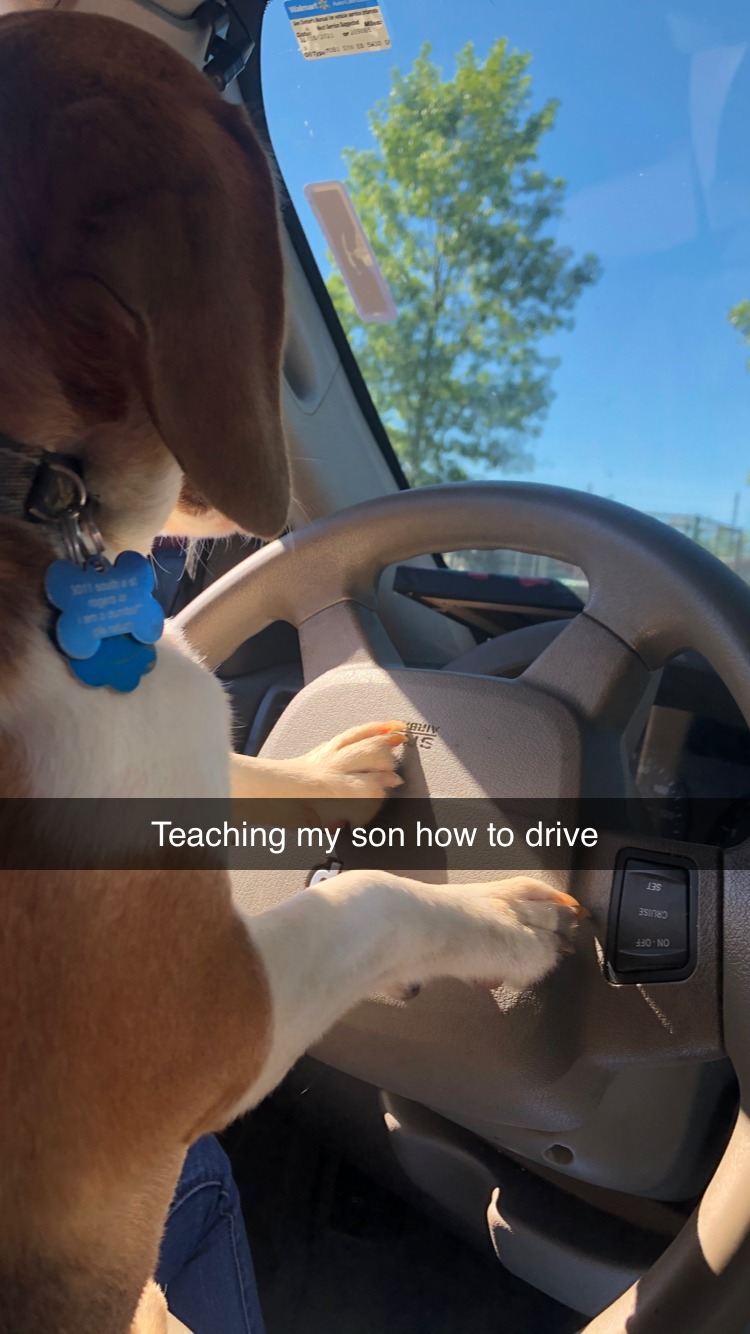 Henry learns to drive - meme