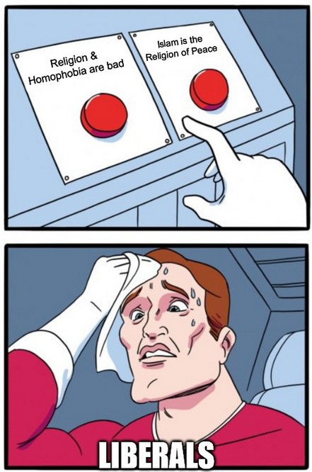 Liberal dilemma #284 - meme