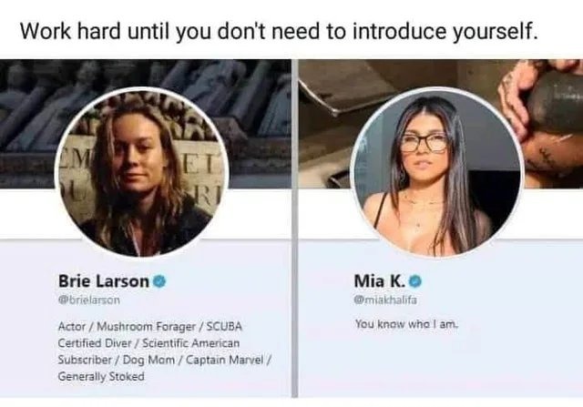 Only fans know who the real Ms.Marvel can be - meme