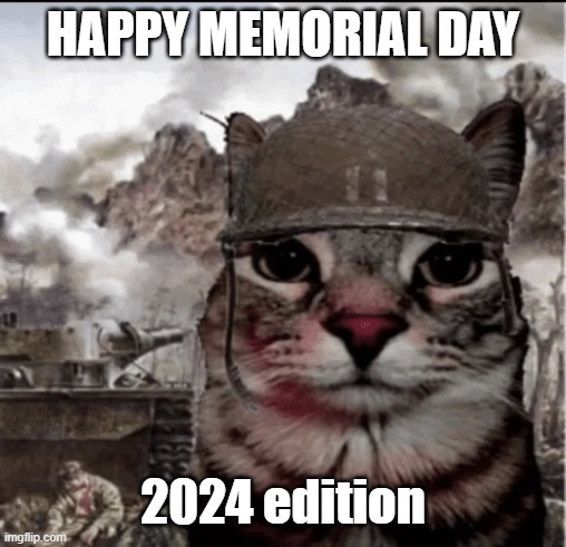 Happy Memorial Day guys - meme
