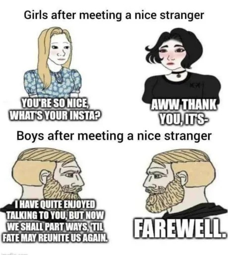 Farewell stranger - meme