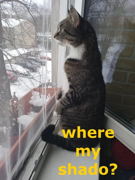 Waiting for Groundhog day 2025 - meme
