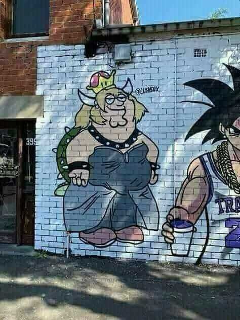 XIKOS ME ENCONTRE UNA BOWSETTE EN LA PARED VGGGGGGGGGGGGGGGGGGG - meme