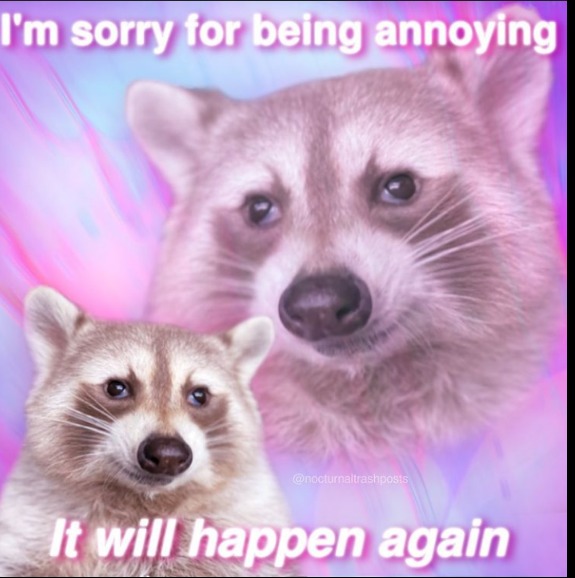 Sorry for so much raccoon memes mods