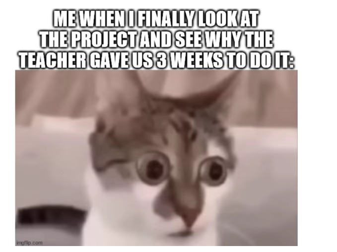 procrastination cat meme