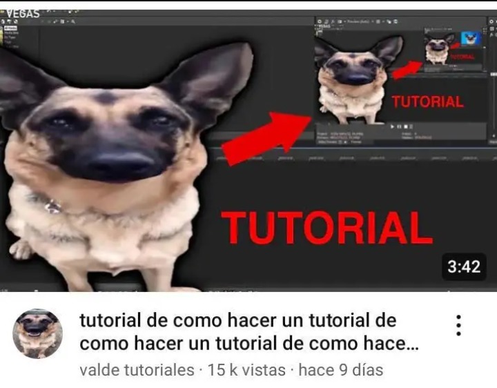 Tutorial de como hacer un mememierda sin gracia