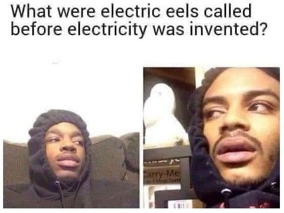 What were electric eels called before electricity? Yeah, not really sure, but I'll bet it wasn't this cool. - meme