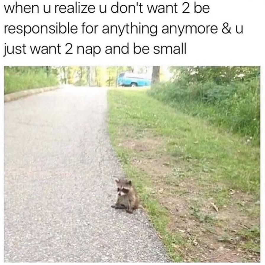 Can I just nap forever and not be in charge of anything - meme