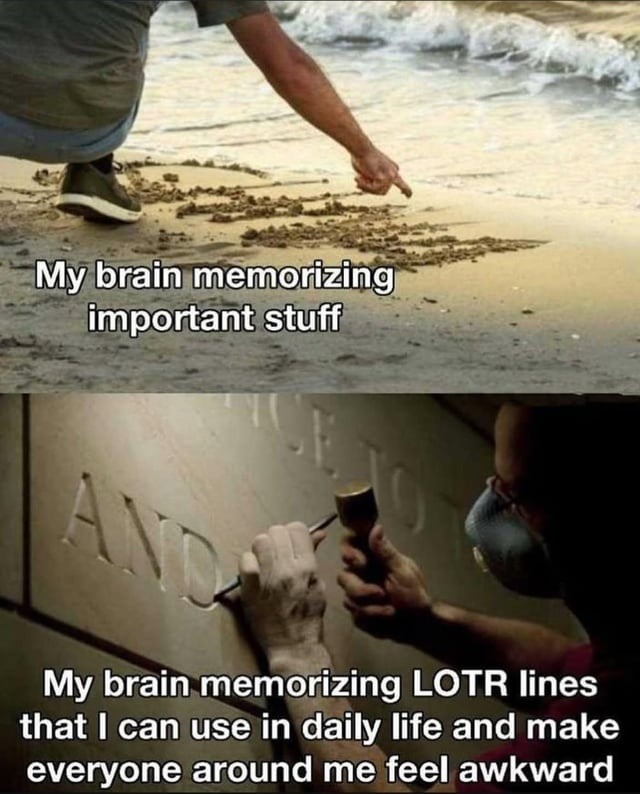 Me: forgets my password. Also me: quotes LOTR flawlessly in arguments - meme