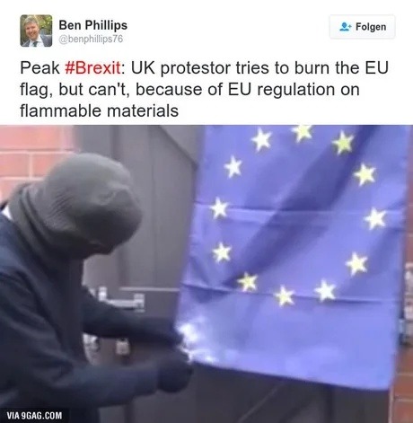 Peak Brexit was trying to burn the EU flag and failing - meme