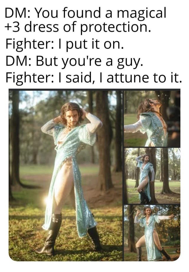 fighter saw a +3 dress and said gimme that AC boost - meme