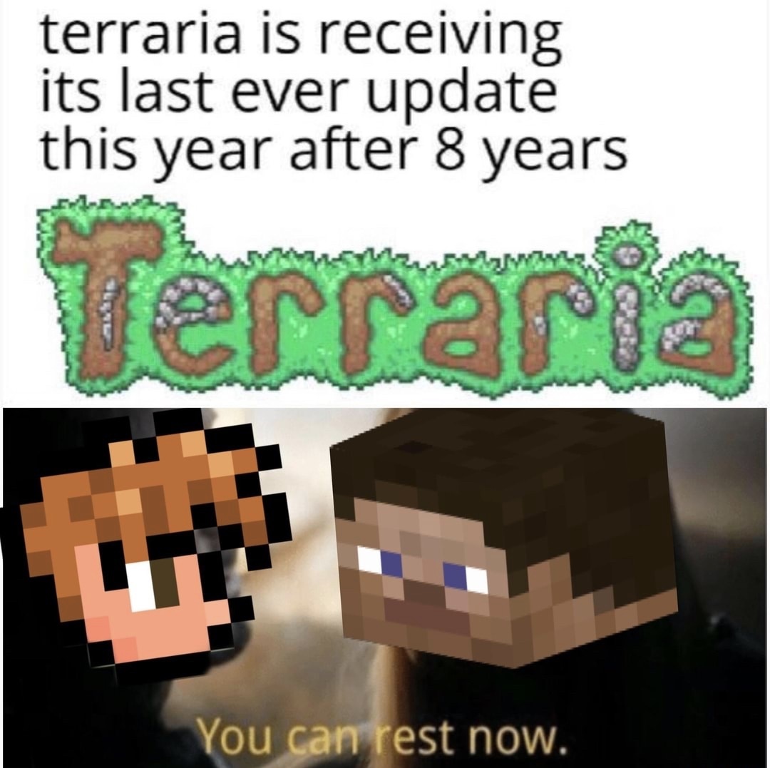 Minecraft vs terraria vs фото 74