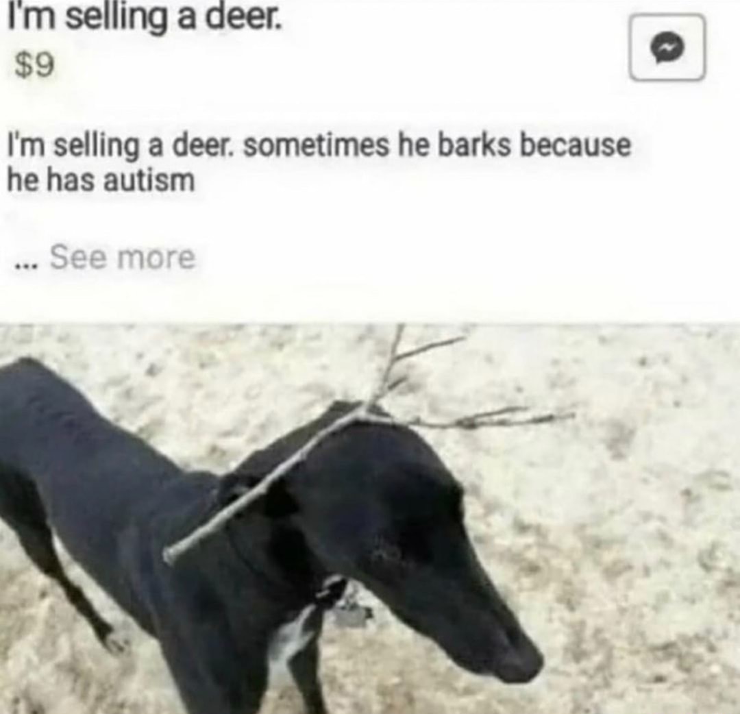 Nice deer - meme