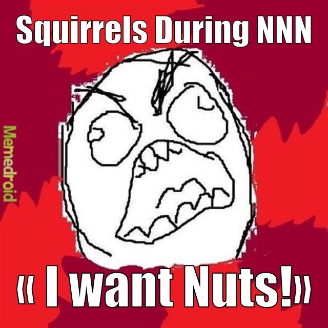 I want nuts!?! - meme