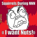 I want nuts!?!