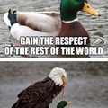 Stupid duck