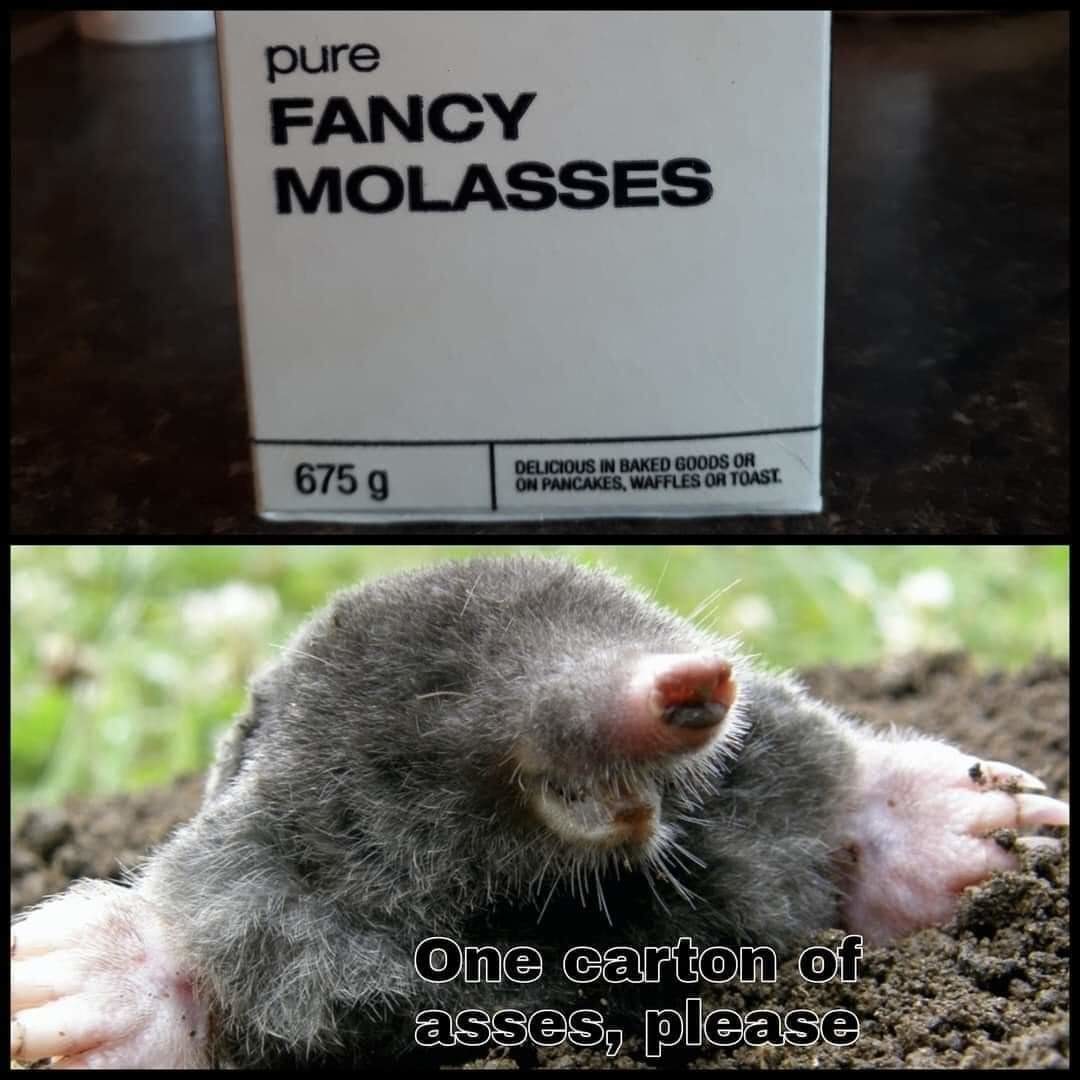 Moley Moley Moley - meme