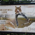 You cat will love ...