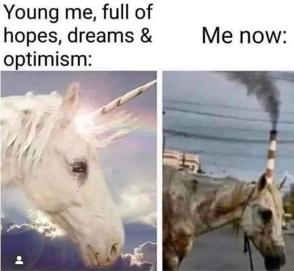 Charlie Unicorn Meme