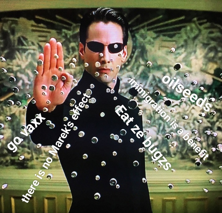 Too many bullets to be named - meme