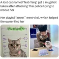 commented item thumbnail