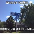 Street street dawg
