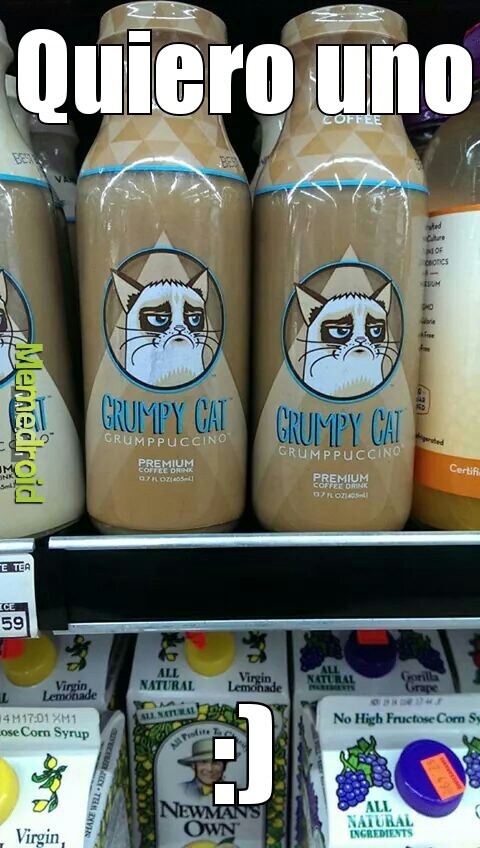 grumpy catpuccino - meme