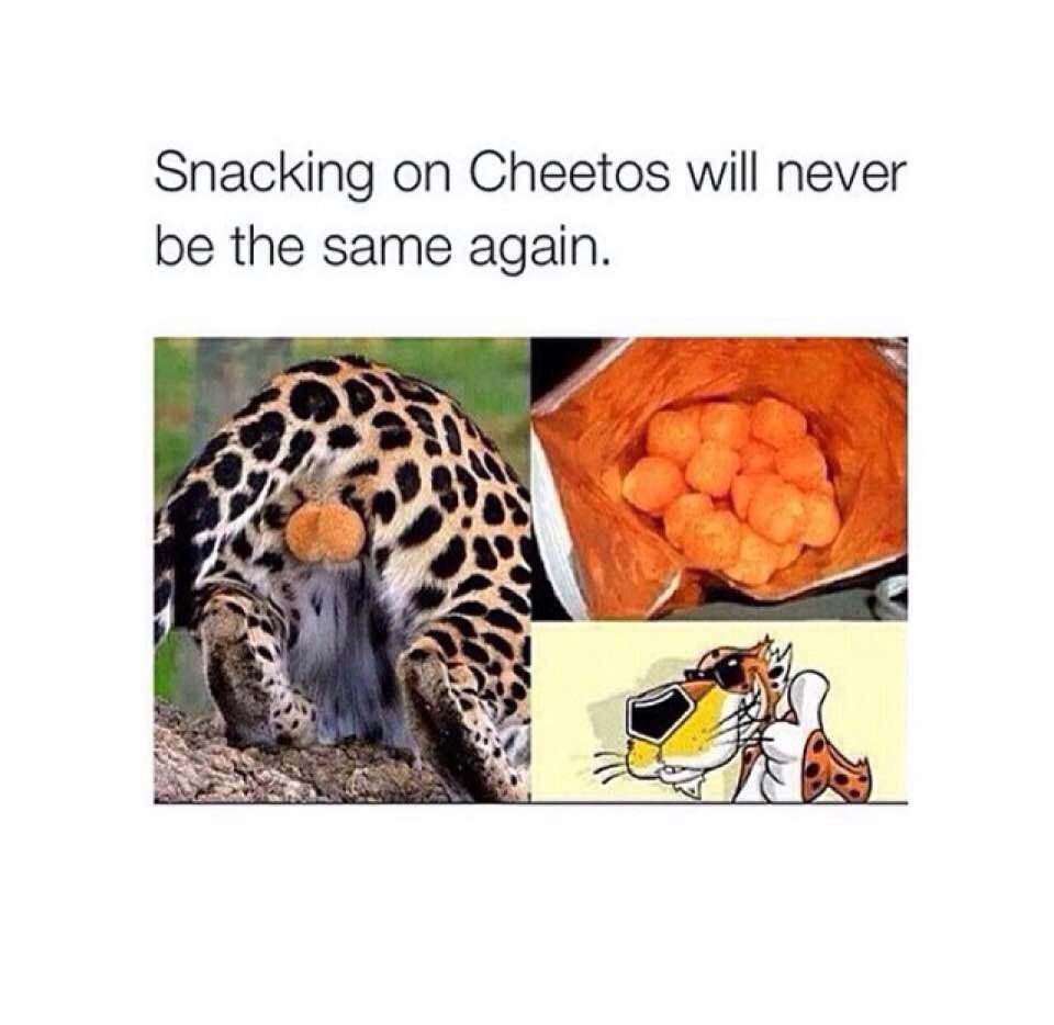 no more cheetos? - meme