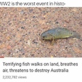 Australia is already full of things that want to destroy it so get in line