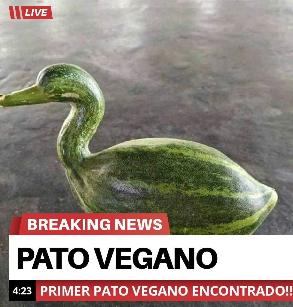Pato vegano - meme