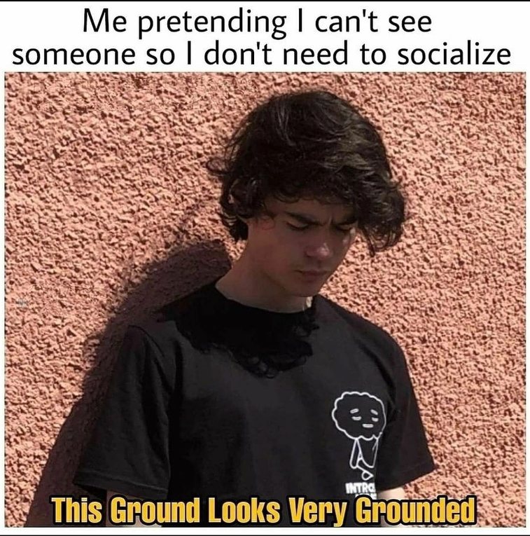 Nice ground - meme