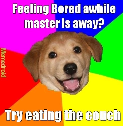 I hope im using advice dog correctly - meme