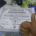 a church giving out certificates of heterosexuality