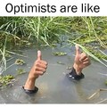 Optimists are like