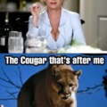 Cougar meme